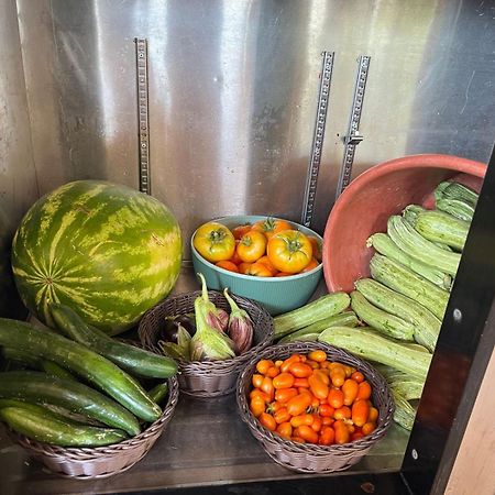 Eco Glamping With Pool Between Nafplio And Argos Eksteriør billede