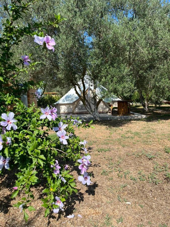 Eco Glamping With Pool Between Nafplio And Argos Hotel Eksteriør billede