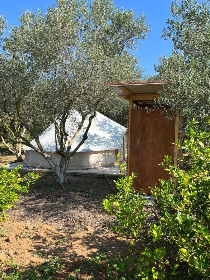 Eco Glamping With Pool Between Nafplio And Argos Hotel Eksteriør billede