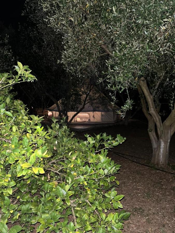Eco Glamping With Pool Between Nafplio And Argos Eksteriør billede