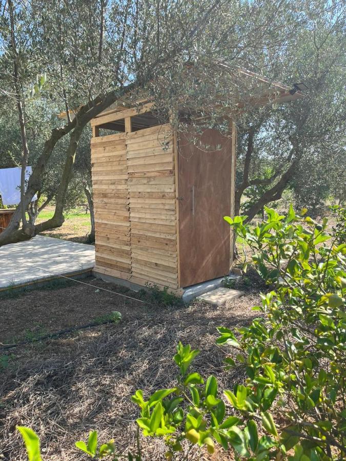 Eco Glamping With Pool Between Nafplio And Argos Eksteriør billede