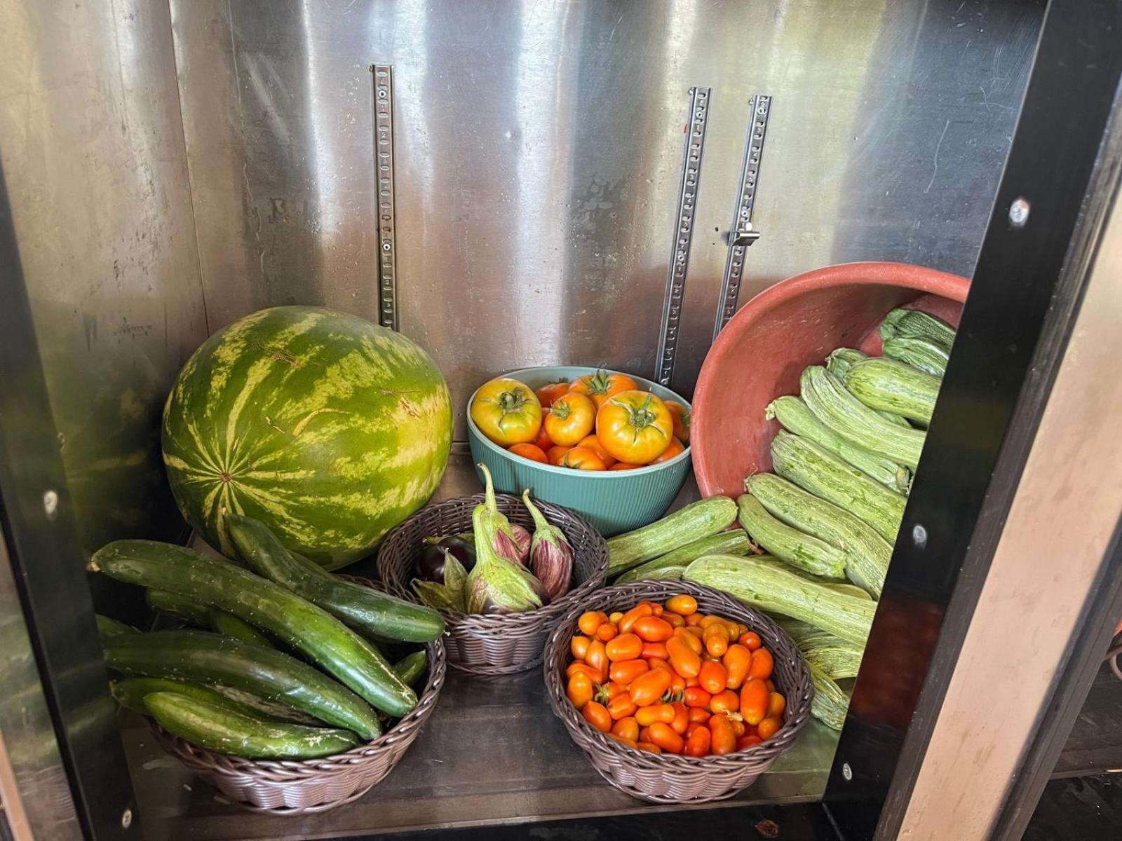 Eco Glamping With Pool Between Nafplio And Argos Eksteriør billede