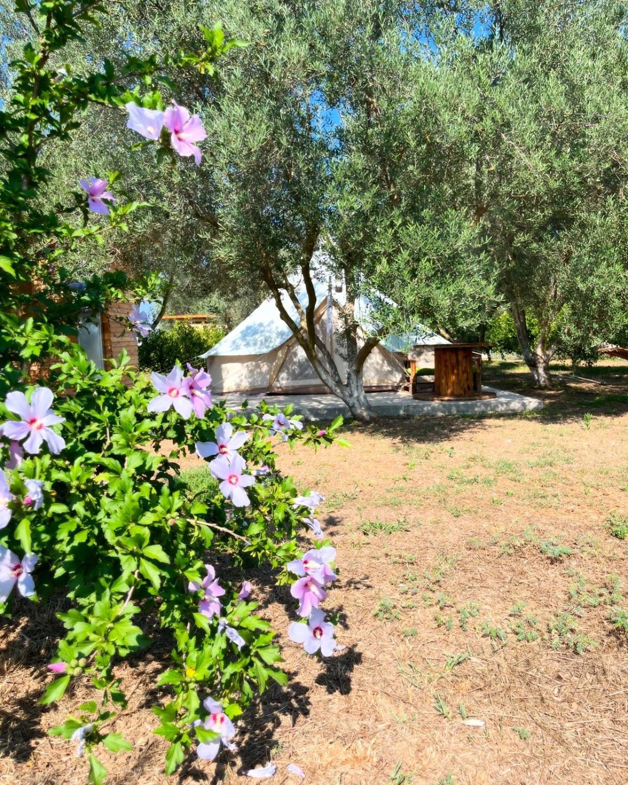 Eco Glamping With Pool Between Nafplio And Argos Eksteriør billede